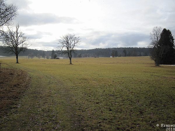 Irndorfer Hardt