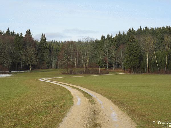 Irndorfer Hardt