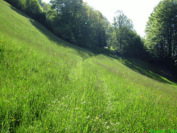 Traumweg