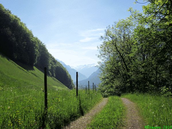 Das Klostertal