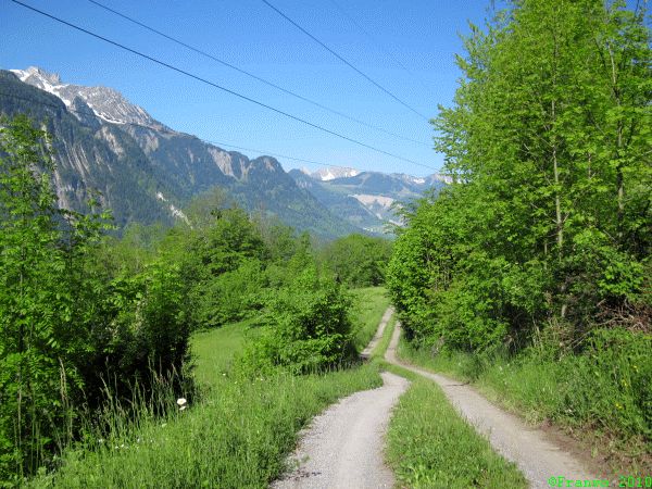 Ein letzer Blick zurück ins Rätikon