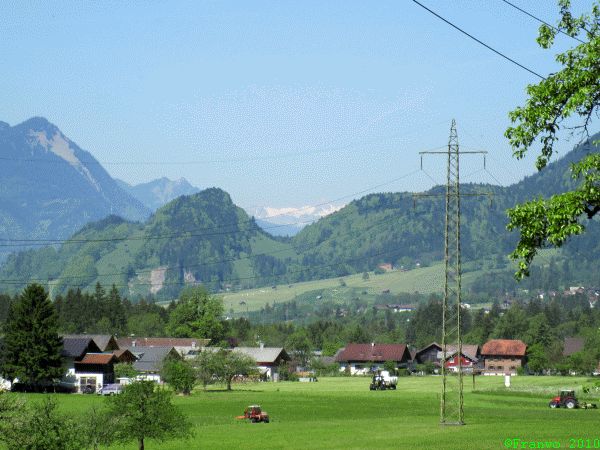 Braz