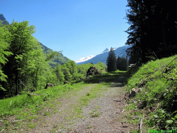 Arlberg in Sicht?