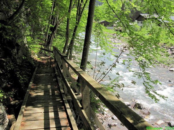 Wanderweg nach Wald