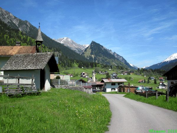 Wald - Wie im Bilderbuch