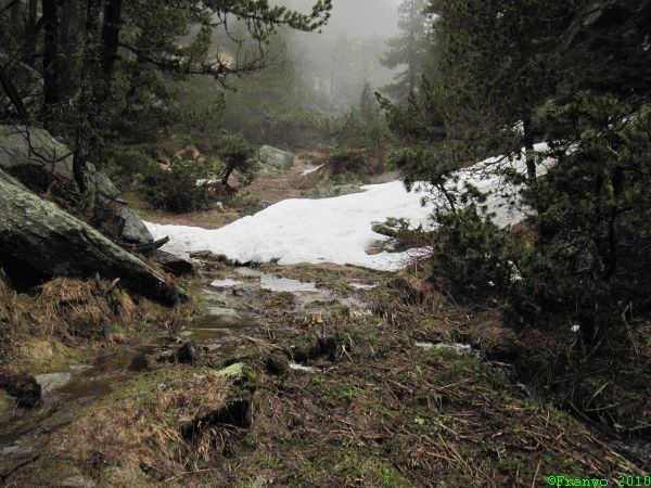 Schneeschmelze weicht den Wanderweg auf