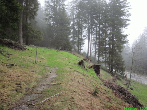 Wanderweg neben der Pass-Strasse