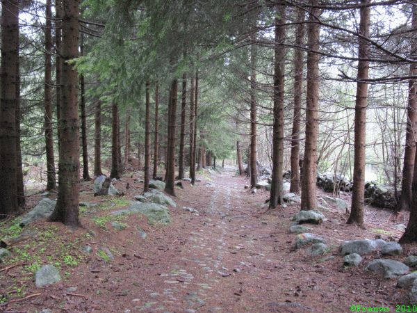 Wandern auf historischem Pflaster