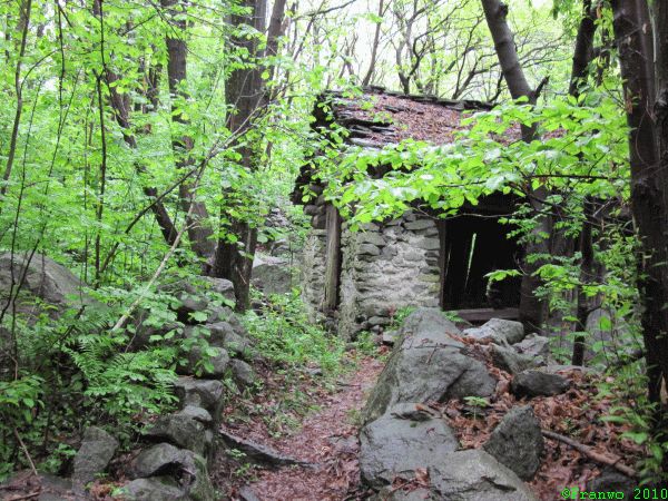 Weg durch Kastanienwälder