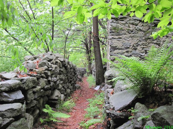 Typischer Weg durch den Kastanienwald