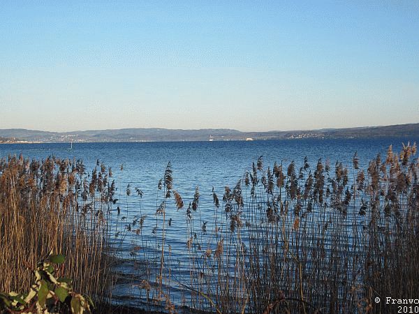 Bodensee