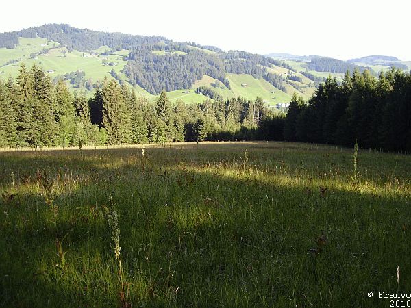 Natur Pur