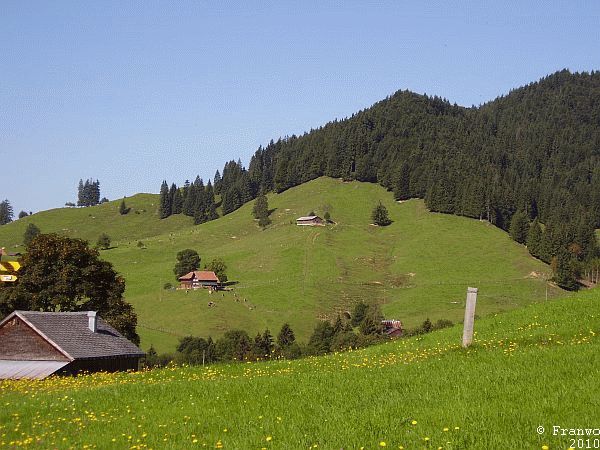 Weiter gehts. Wieder hinauf