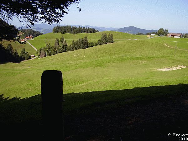 Weiter über die Höhen des Tüfenberg 1100m üNN
