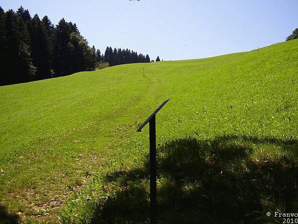 Weiter auf einem Traumpfad