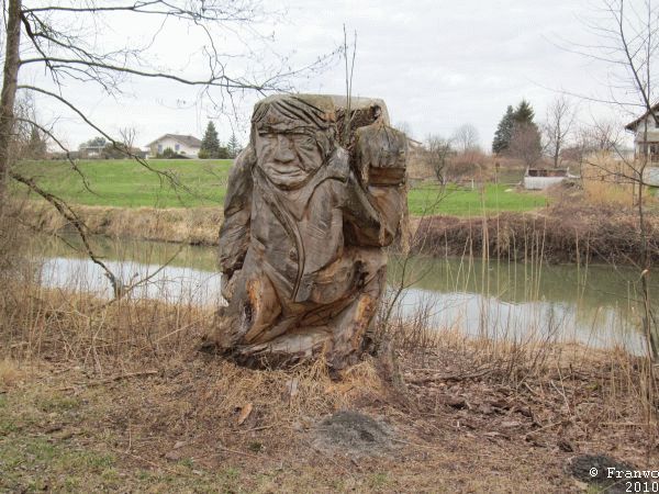 Ein seltsamer Geselle am Altenrhein