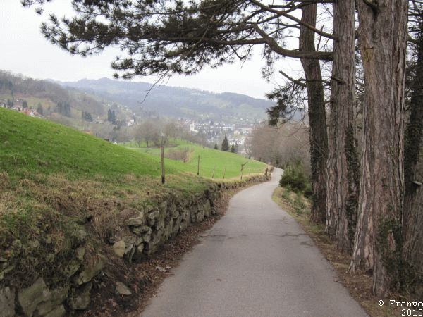 Der Weg nach Thal