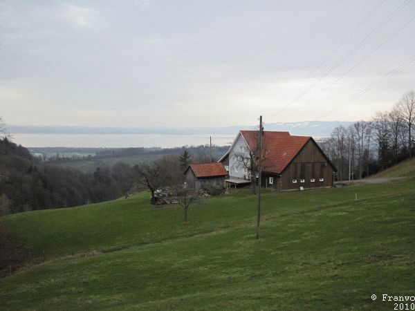 bei Heiden, Blick auf den Bodensee