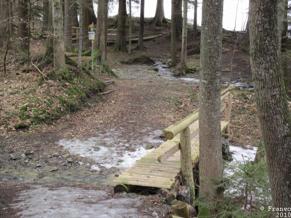 Waldweg zum Kaien