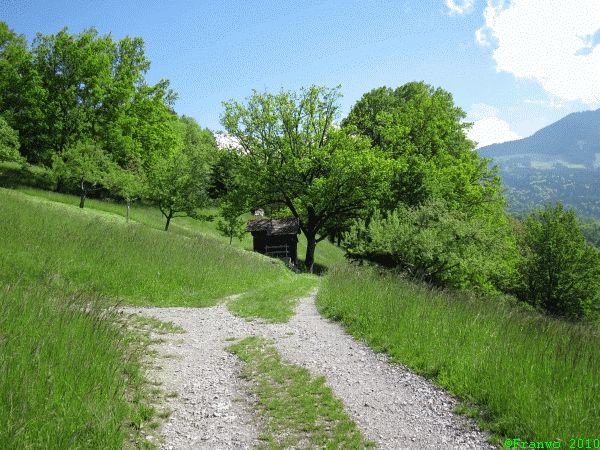 Bei Schnifis