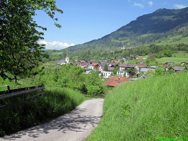 Schnifis