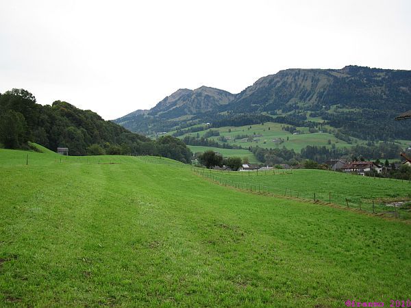 Winterstaude - Bullersch
