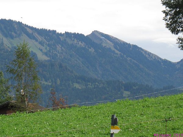 Nagelfluh Hochjoch
