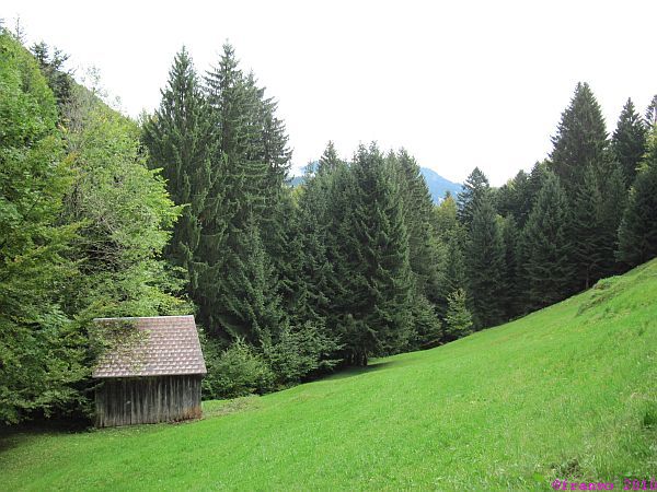 Idylle pur