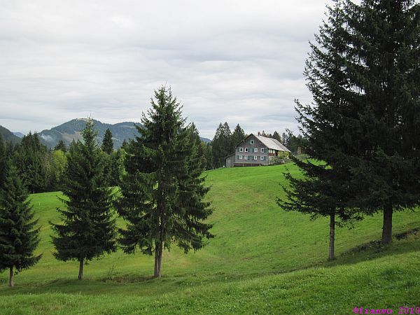 Rossschwende