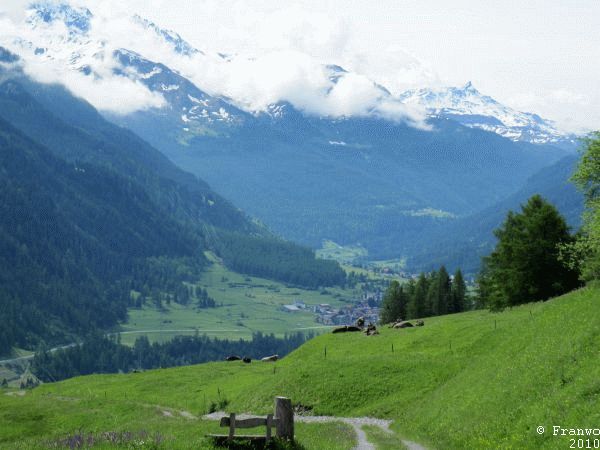 Auf dem Weg nach Salouf