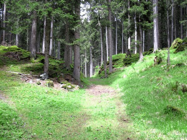 Der Römerweg