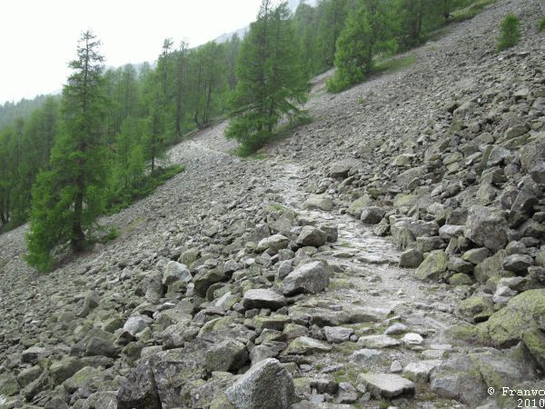 Es geht nochmal 200 Höhenmeter hinauf