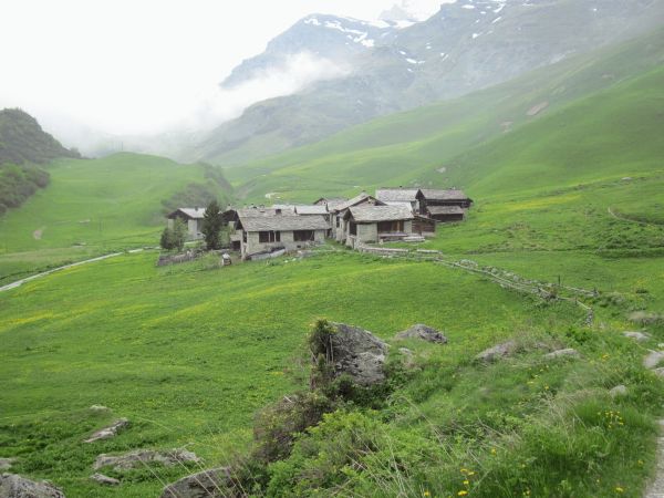 Grevasalvas