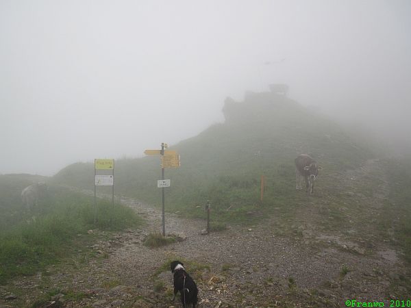 Kastensattel