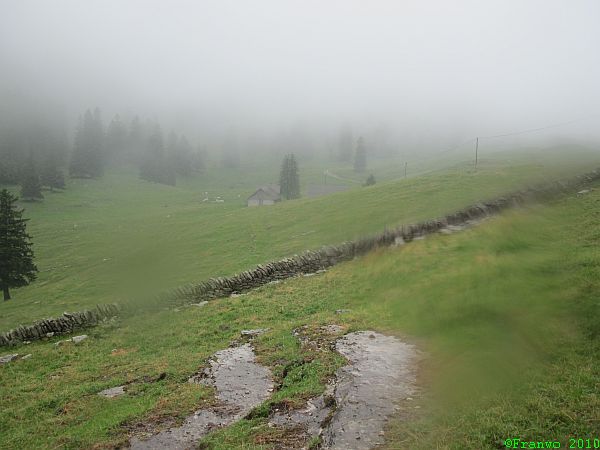 Alp Lenziwis