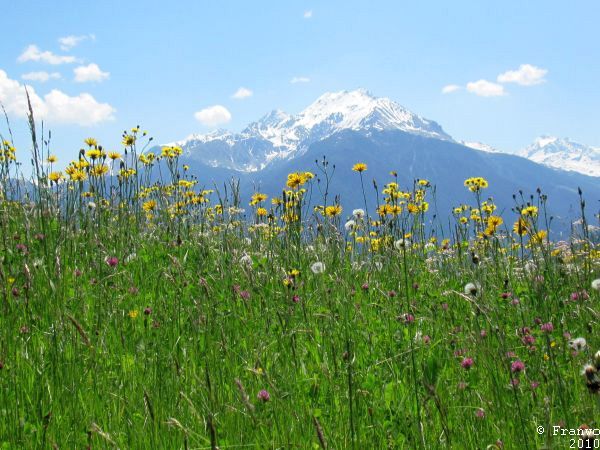 Sommerimpressionen
