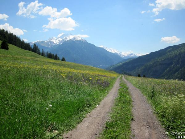Weg nach Alvaschein
