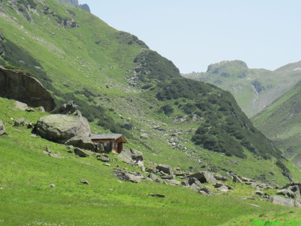 Staffelalpe(1777m)