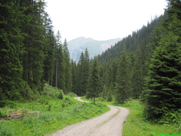 hinunter ins Klostertal