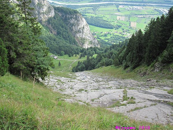Alp Rohr