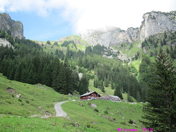 Alp Rohr