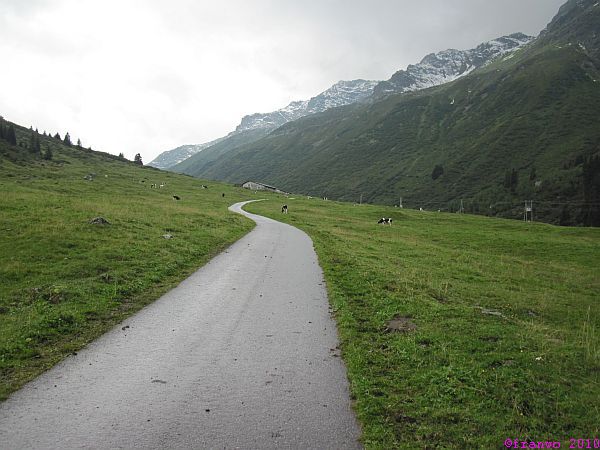 Untere Valzifenalpe