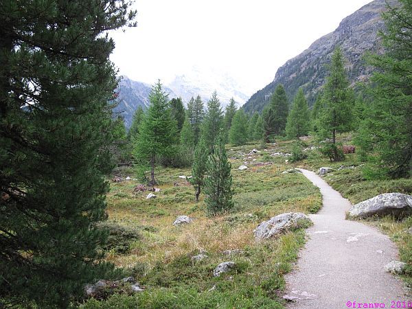 Auf dem Weg nach Monteratsch