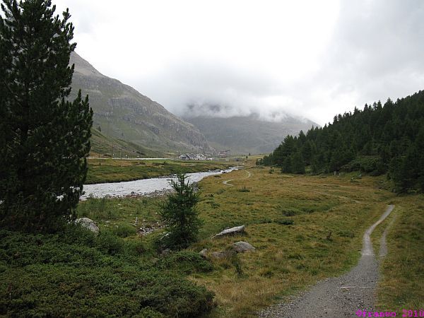 Bernina Suot