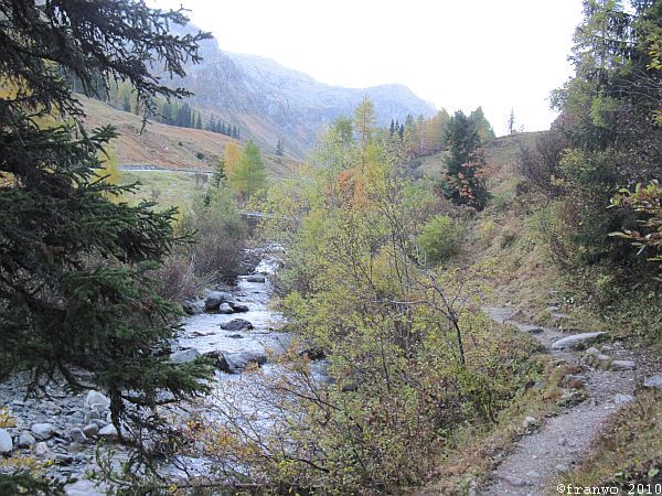 hinauf zum Spügenpass