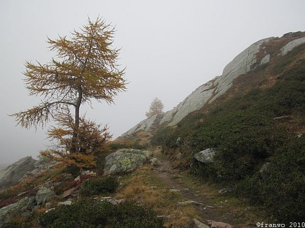 oberhalb des Stausees (ohne Aussicht)