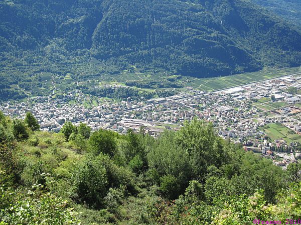 Tirano