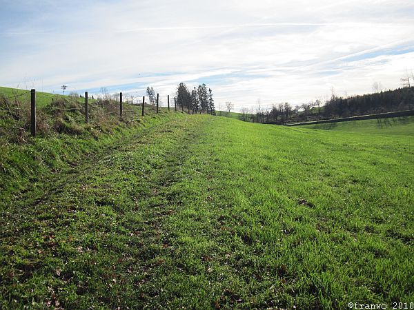 Grünes Allgäu auch im November