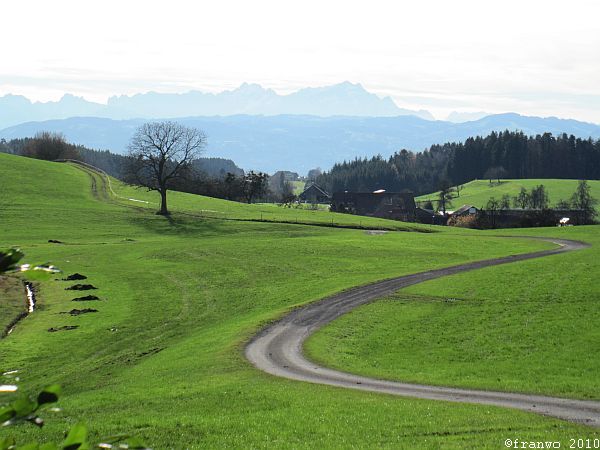 Der Alpstein mit Säntis