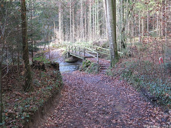 schöner Waldweg